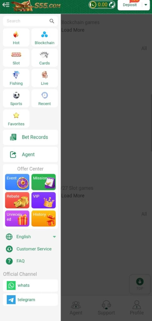 S55 Game