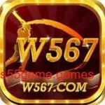 W567 Game