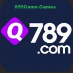 Q789 Game